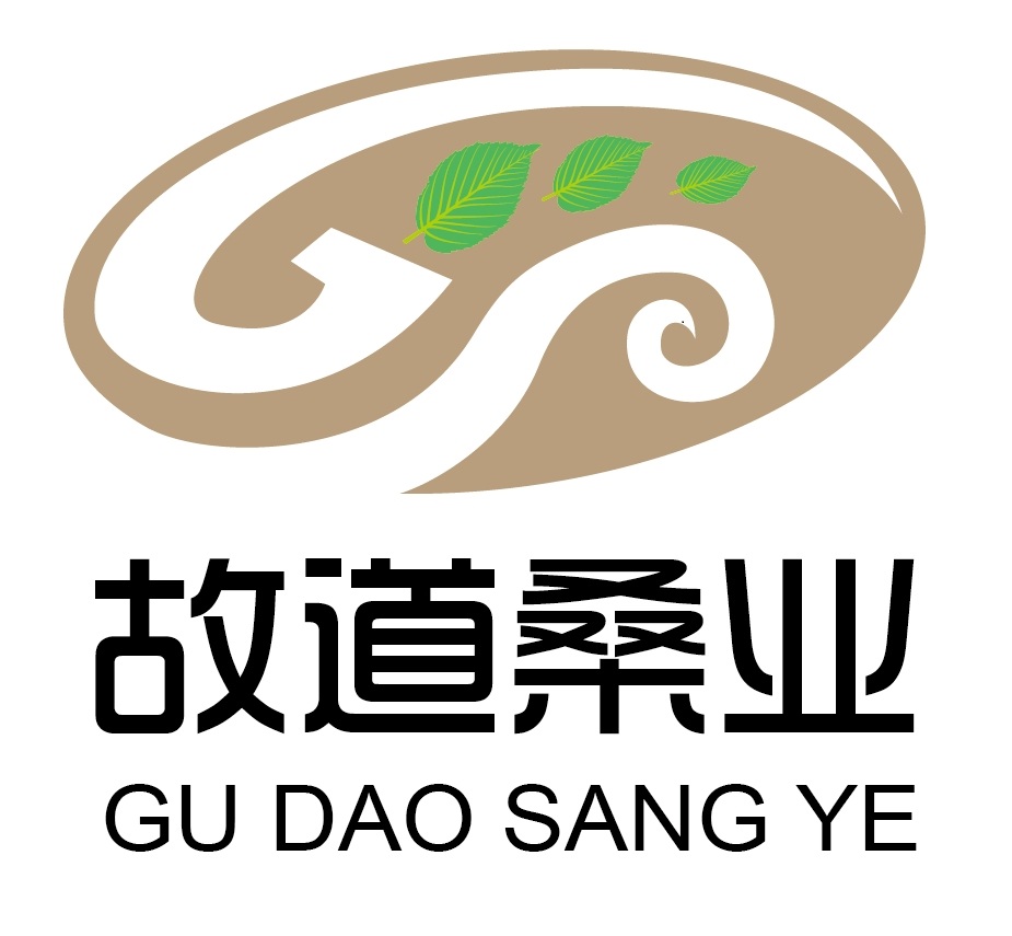 喝茶就可以防脫生發，太神奇了！桑葉養生茶